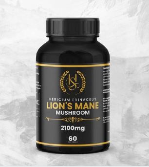 lion`s mane mushroom lion`s mane mushroom